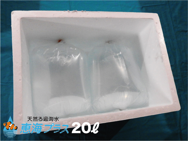 海水魚水槽用天然ろ過海水10ℓor20ℓ【恵海（めぐみ）プラス】